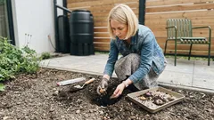 3 byliny cebulowe, które zastąpią tulipany i robią efekt „wow” na rabacie