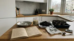 Popiół drzewny w rozsadzie: prosta mieszanka ziemi, która daje mocne korzenie