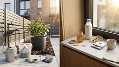 Jak pobudzić hortensje do kwitnienia wiosną: 5 podlewek i proste zasady pielęgnacji