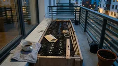 Groch na grządce: 3 proste zasady, dzięki którym dłużej plonuje