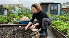 Trzy dynie, które robią show na grządce: kiedy siać i jak poprowadzić pędy