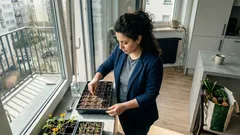 Co siać w połowie marca? 5 kwiatów na mocną rozsadę bez doświetlania