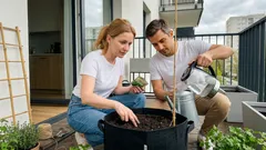 Metoda „po japońsku” na ogórki: stabilny wzrost mimo zimnych nocy i skoków pogody