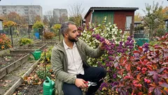 Te 3 krzewy z owocami robią efekt wow w ogrodzie jesienią i zimą