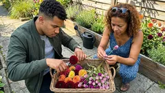 Kuliste kwiatostany na rabacie: 5 roślin, które robią porządek i kwitną do jesieni