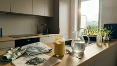 Mszyce i ślimaki odpuszczą bez chemii: ten prosty proszek z kuchni działa w ogrodzie