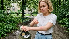 Gympie-gympie: roślina, która wygląda jak plusz, a parzy miesiącami