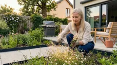 Przymiotno (erigeron) w ogrodzie: jak posadzić, żeby kwitło długo i bez wysiłku