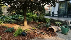 Co posadzić pod drzewem, żeby w cieniu było zielono od wiosny do jesieni