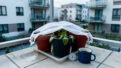 Marcowa huśtawka pogody: dlaczego po 13°C wracają nocne przymrozki